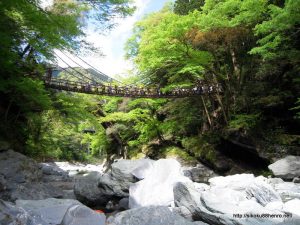 祖谷かずら橋-2