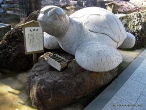 金剛福寺の大師亀